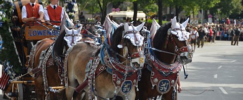 いざ、オクトーバーフェスト！＝＝ドイツビール紀行２０１３（その２９）＝＝