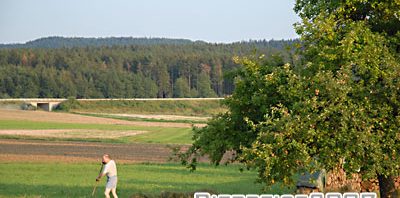 ビールのある風景